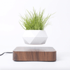 For Us Momma The Floating Plant Pot